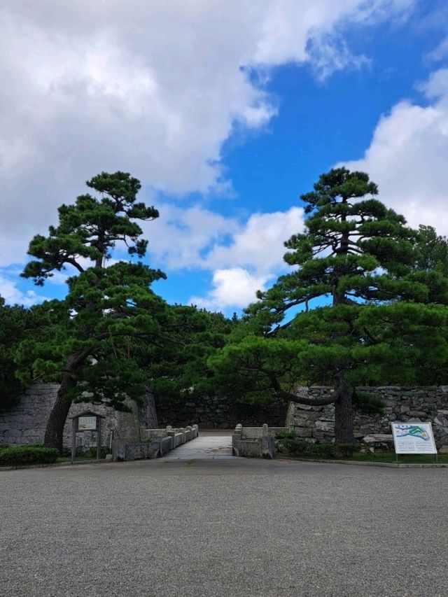 【橋本そば本家:徳島県徳島市】美味しい名物生そばを食べに行こう♪