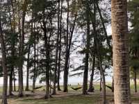 มาพักผ่อนที่หาดนราทัศน์ 