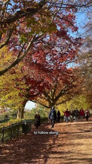 where to visit in Richmond 🍂