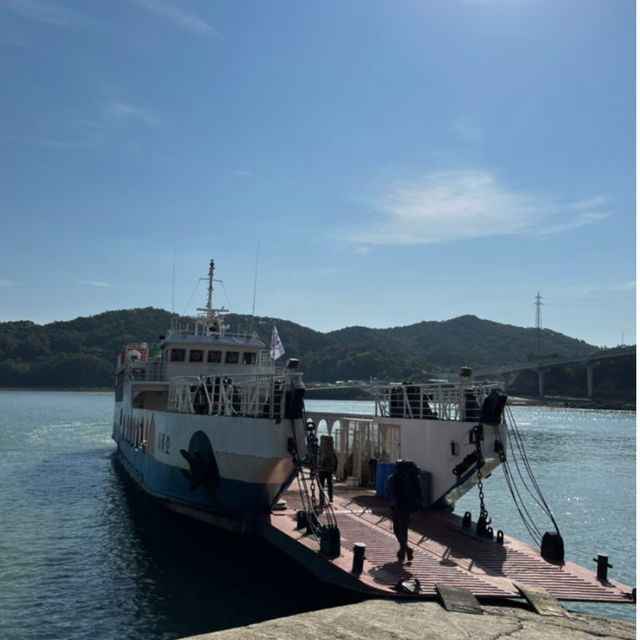 인천 굴업도 백패킹 캠핑