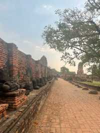 【タイ🇹🇭】 半日で回れる世界遺産‼️「アユタヤ遺跡」