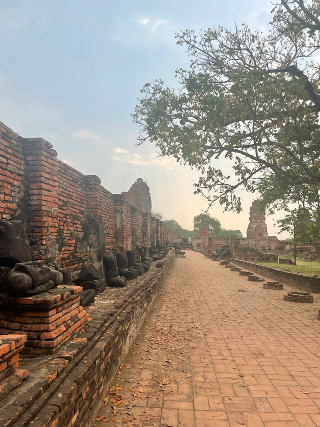 【タイ🇹🇭】 半日で回れる世界遺産‼️「アユタヤ遺跡」
