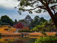 【岡山】日本三名園！秋の後楽園は紅葉が綺麗🍁