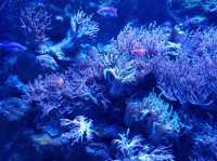 名古屋港水族館