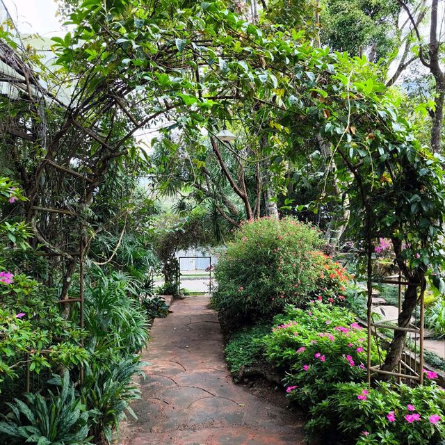สถานีเกษตรหลวงอินทนนท์ สวนพรรณพืชดอกไม้สวยๆ