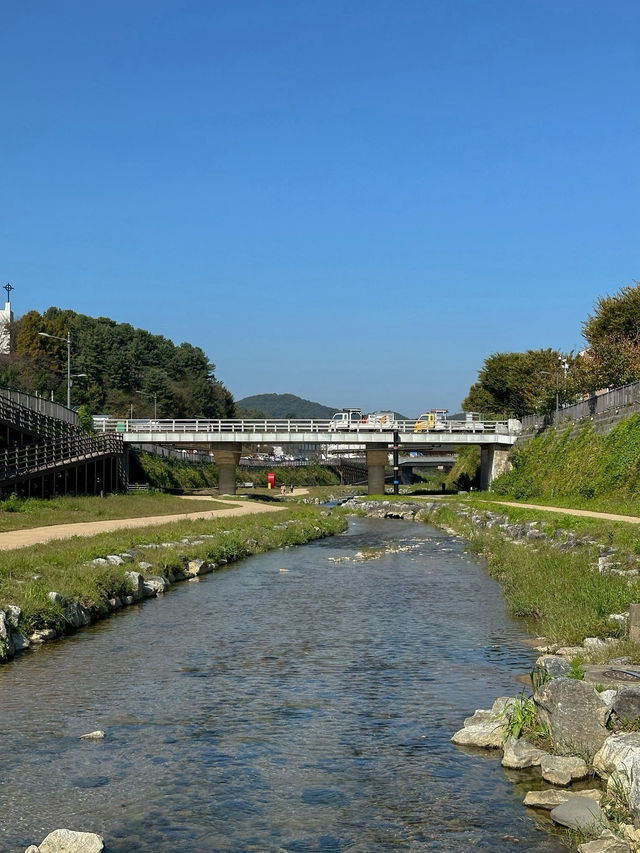 공주, 가을맞이 산책하기 좋은 <제민천>