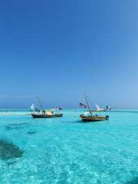 Zanzibar Bliss: Sun, Sea and Sassy Dolphins at Mnemba Island! 