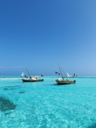 Zanzibar Bliss: Sun, Sea and Sassy Dolphins at Mnemba Island!