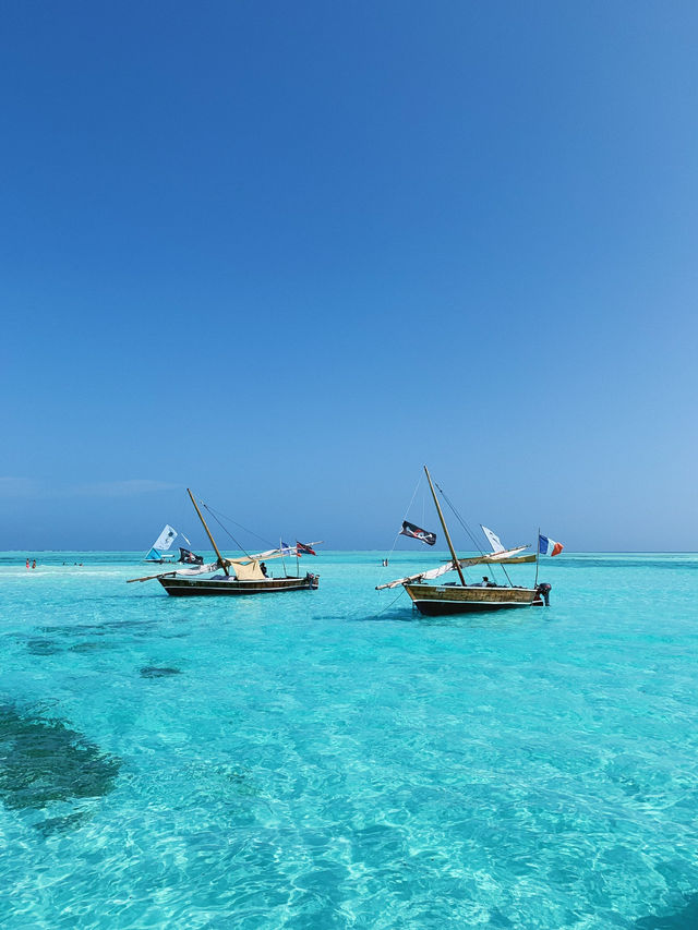 Zanzibar Bliss: Sun, Sea and Sassy Dolphins at Mnemba Island! 