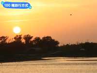 台南賞夕陽的秘境步道-安平湖濱水鳥公園