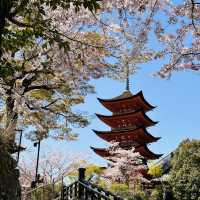 Island of Wonder: Exploring the Beauty and Charm of Miyajima!