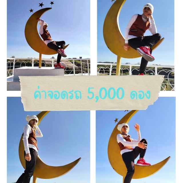 ไฮเดรนเยีย 💗💗💗ฉันมาแล้วนะ