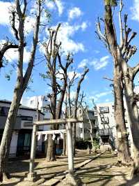 【東京都】本殿を守る小さな狛狐