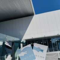 可能係世一嘅水族館⋯⋯四國