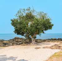 ที่พักสวยเกาะเสม็ด