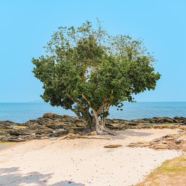 ที่พักสวยเกาะเสม็ด