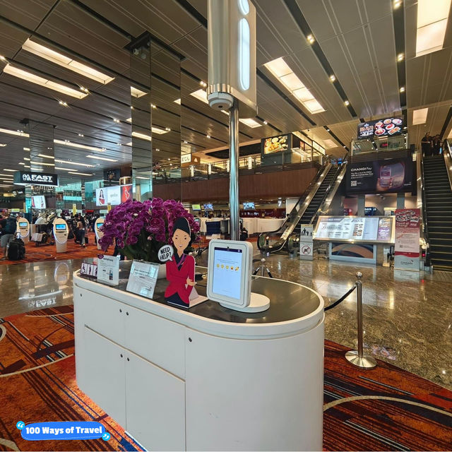 Exceptional Layover Experience: Singapore Changi Airport
