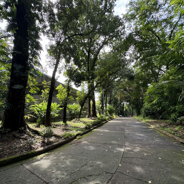 Beautiful expansive grounds at Ateneo de Manila University