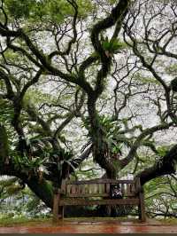 Fort Canning Park