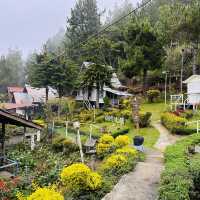 Chasing Kinabalu: My Adventure-Filled Road Trip to Kundasang!
