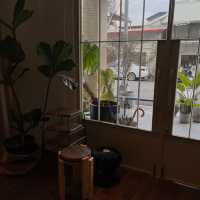 台中隱藏版日式風情：長屋，一場時光倒流的和風小旅行
