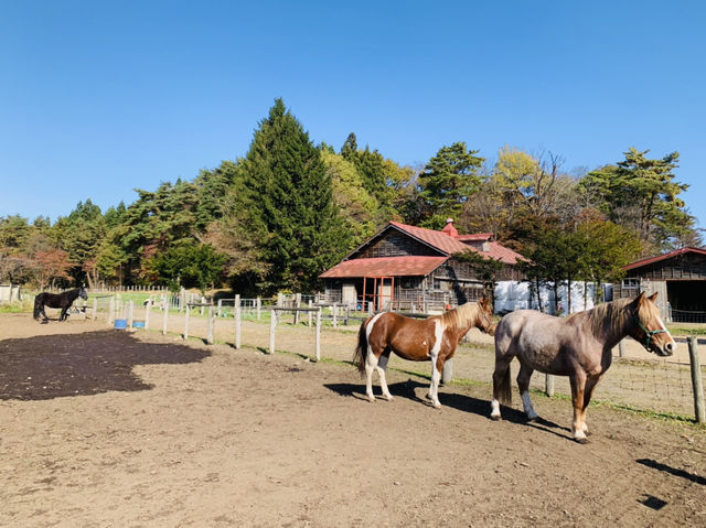 小岩井で乗馬体験！