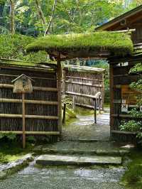 Kyoto’s Hidden Moss Garden Gem 🌿