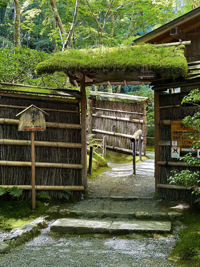 Kyoto’s Hidden Moss Garden Gem 🌿
