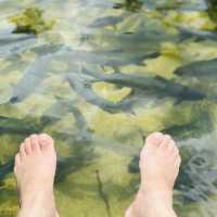 Nature’s Paradise: My Refreshing Adventure at Khaokram Waterfall!