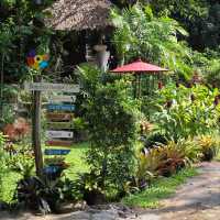 Bamboo House Cafe' ห้วยน้ำใส สวนผึ้ง