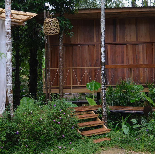 คาเฟ่บ้านไม้กลางป่าสุดกรีน
