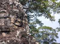 Temple lost in jungle