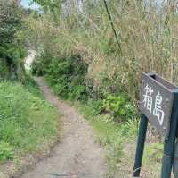 箱島神社，宛如宮崎駿動畫的世外桃源般神秘、又小巧可愛
