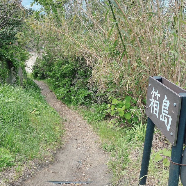 箱島神社，宛如宮崎駿動畫的世外桃源般神秘、又小巧可愛