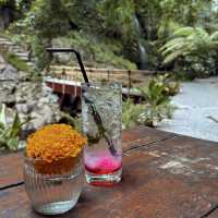 A Hidden Gem in Bali: Nukad Tampaksiring
