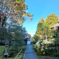 【善慧院:京都市東山区】