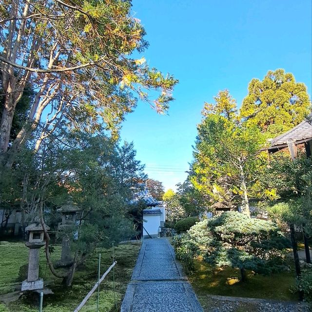【善慧院:京都市東山区】