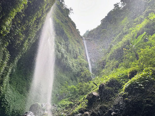Discovering the Enchantment of Madakaripura Waterfall