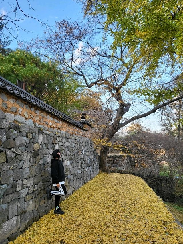 아직 가을을 더 즐기는 밀양 추천여행지