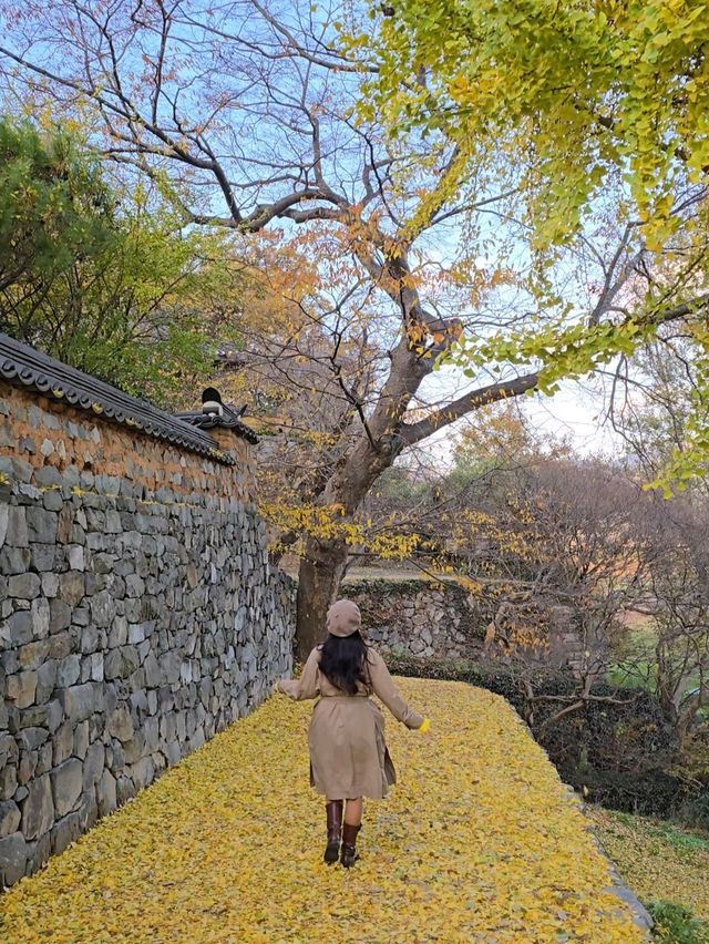 밀양에서 보낸 아름다운 가을의 마무리💛