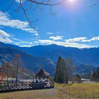 Explore Cingjing Farm, Taiwan’s High Mountain Leisure Farm