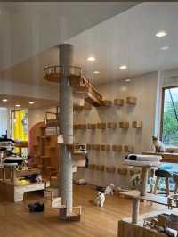 Catsmile Cafe🐈