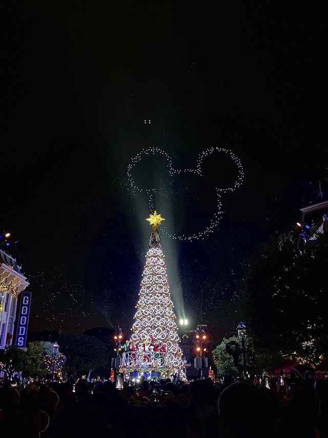 在香港迪士尼樂園的節日夢幻時刻🎄🫧