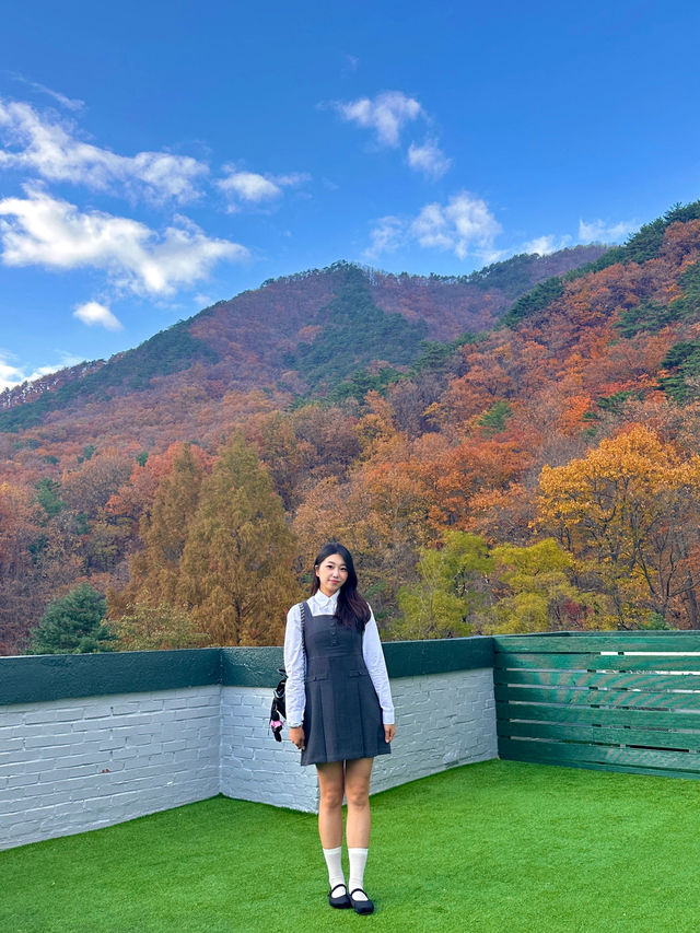 가을 설악산에 내려앉은 빨간 단풍이불 🍂🍁