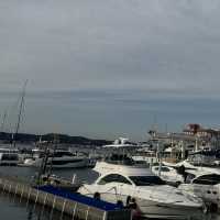 逗子Riviera Zushi Marina