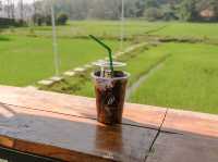 Cafe'Lista คาเฟ่บ้านไม้สีขาวกลางทุ่งนา 🏠