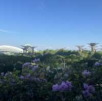 シンガポール🇸🇬大都会と歴史ある国❗️そして綺麗❗️