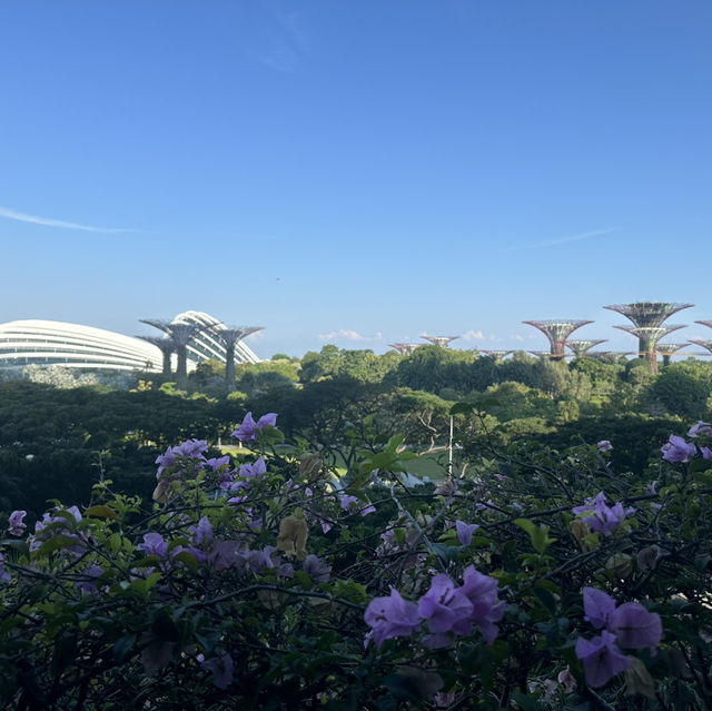 シンガポール🇸🇬大都会と歴史ある国❗️そして綺麗❗️