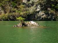 Canyon de Sumidero: one of the most scenic boat rides