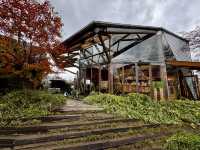 Autumnal vibes at Yufuin